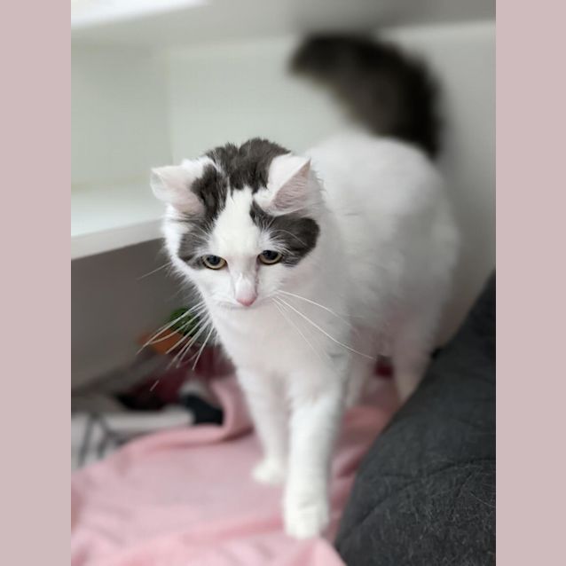 Photo of Isla