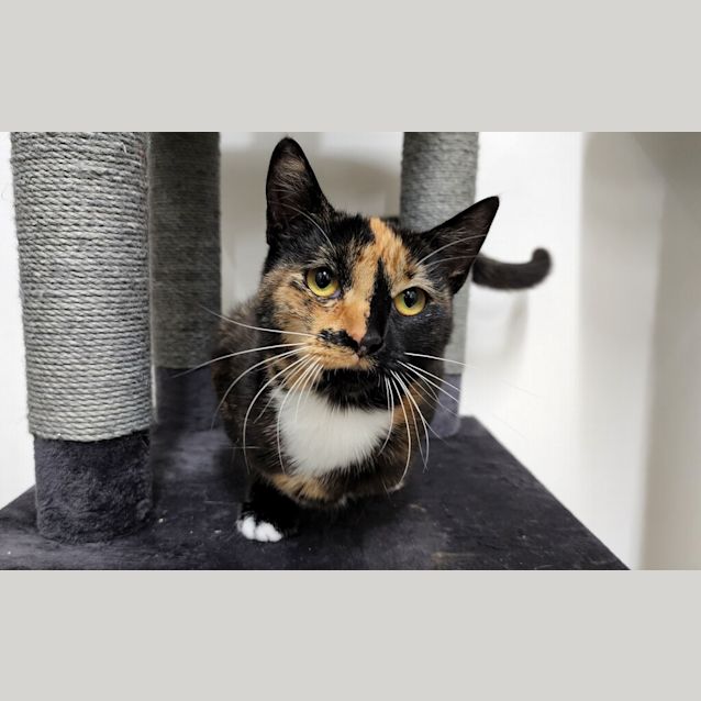 Photo of Mollie