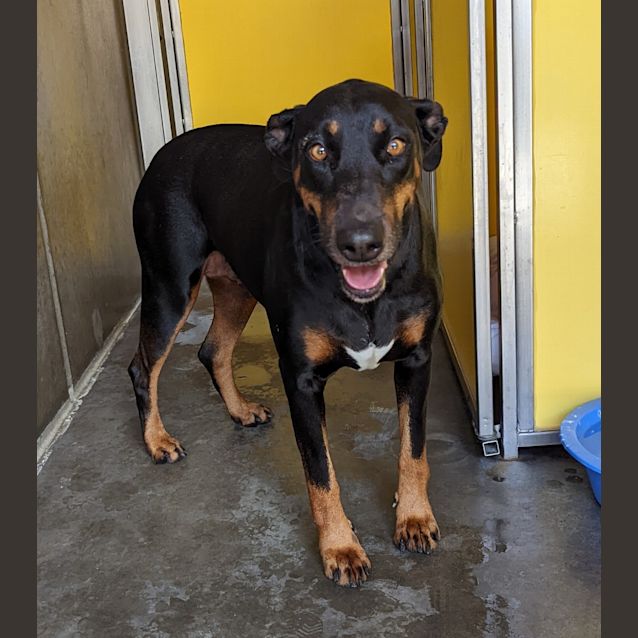 Photo of Asha