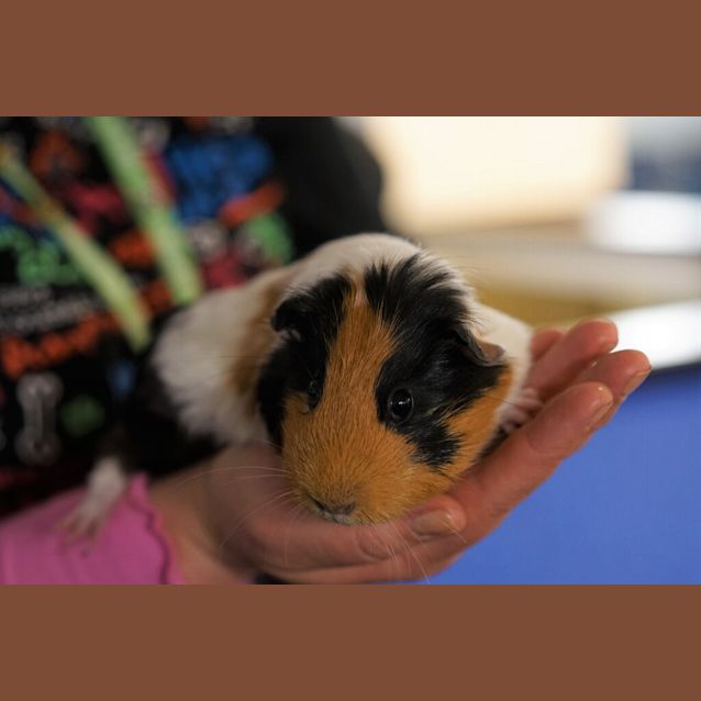 Photo of Wilma