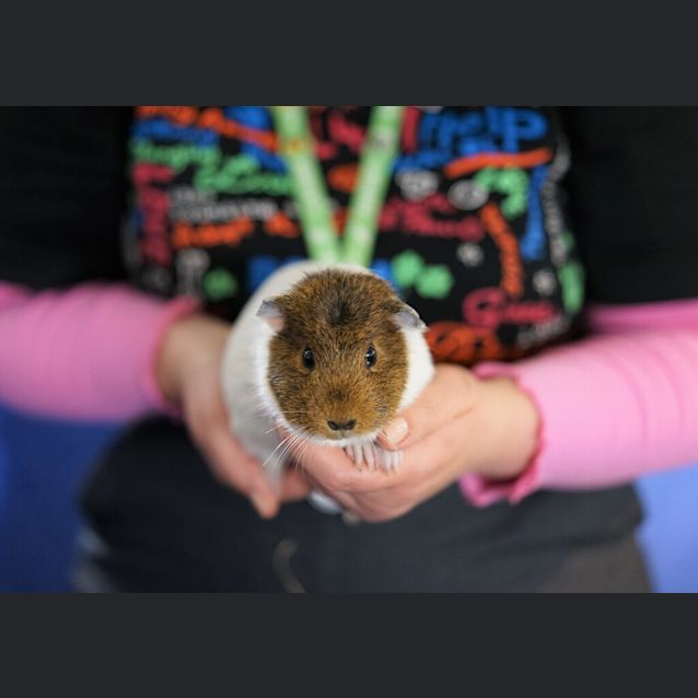 Photo of Wendy