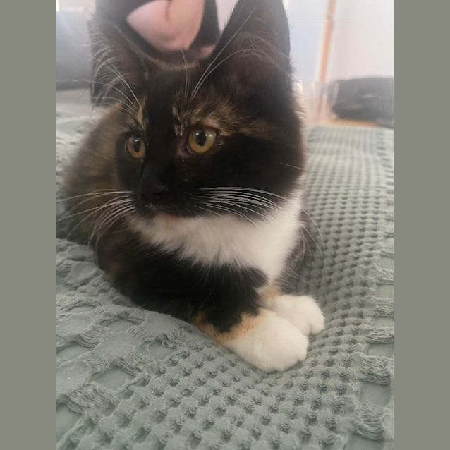 Photo of Gina