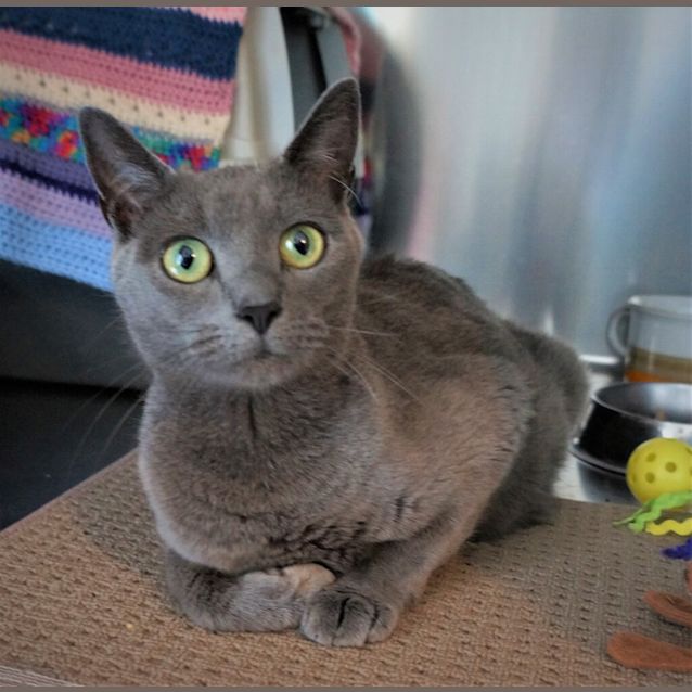 Photo of Bonnie