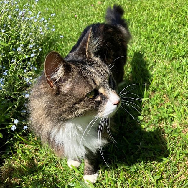 Photo of Molly