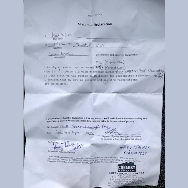 Photo of Milo (Was Professor Plum)