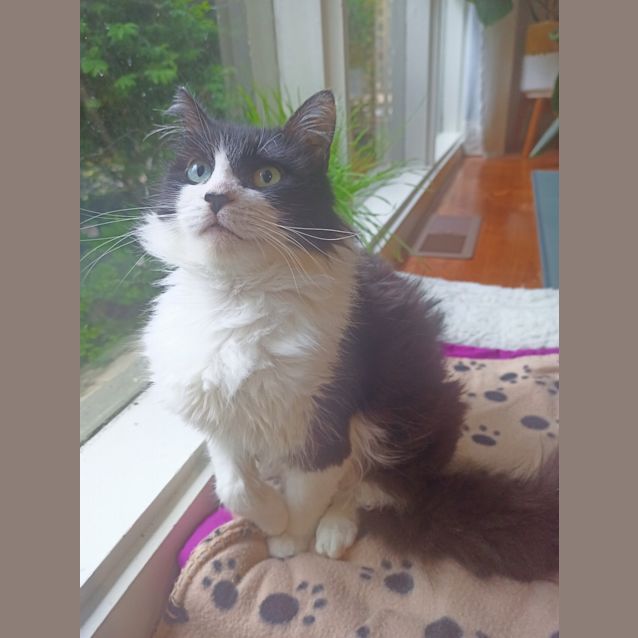 Photo of Dottie