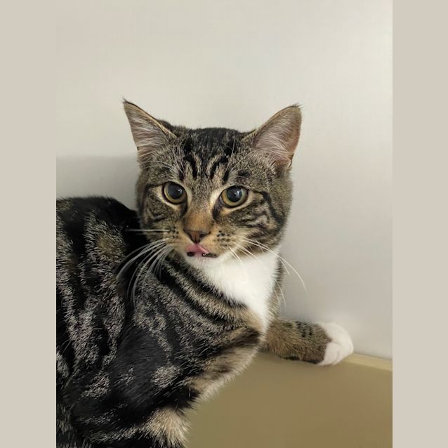 Photo of Mr Jingles