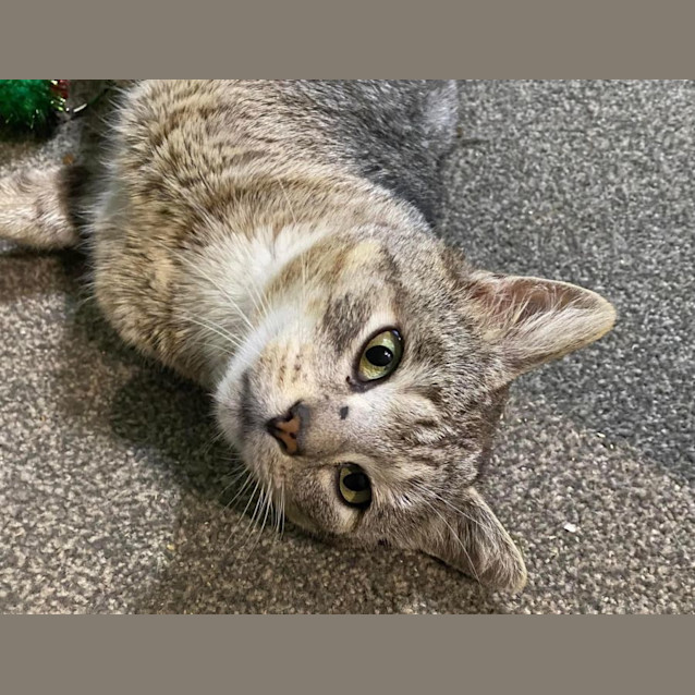 Photo of Louie