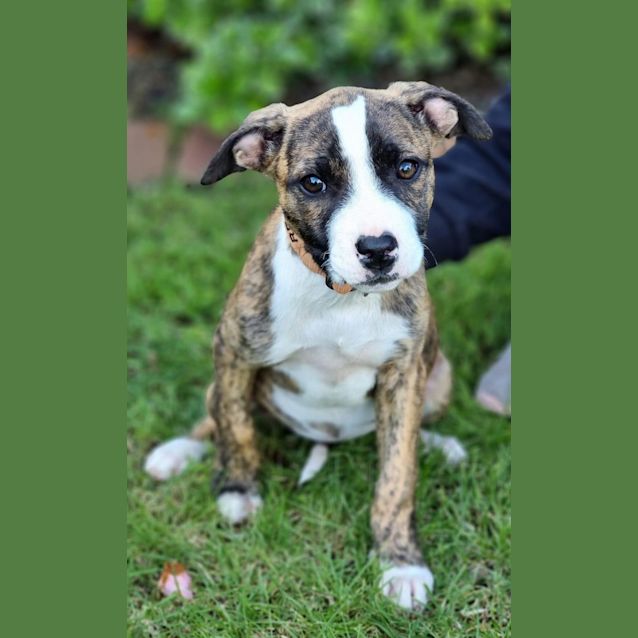 Photo of Isla 