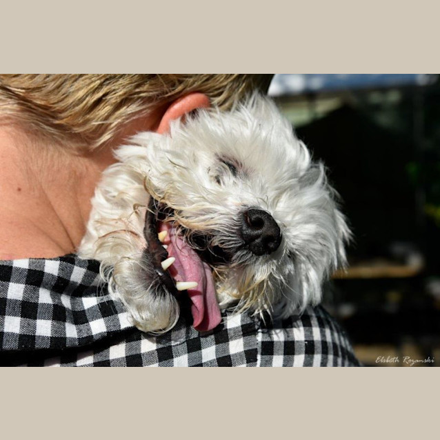 Photo of Bruno Belvedere