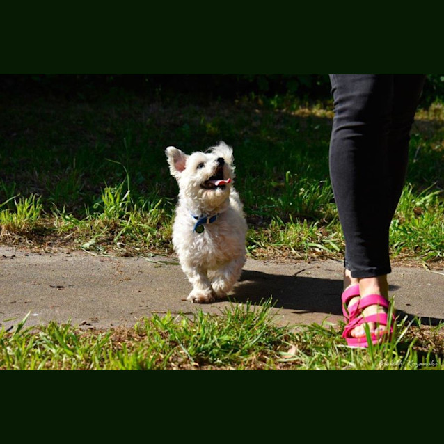 Photo of Bruno Belvedere