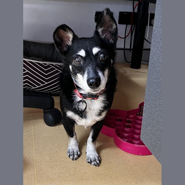 Photo of Sally