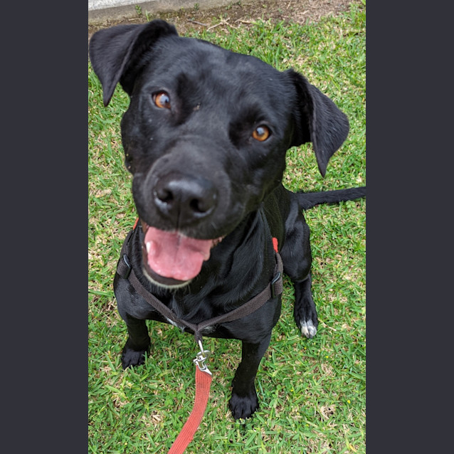 Photo of Ace