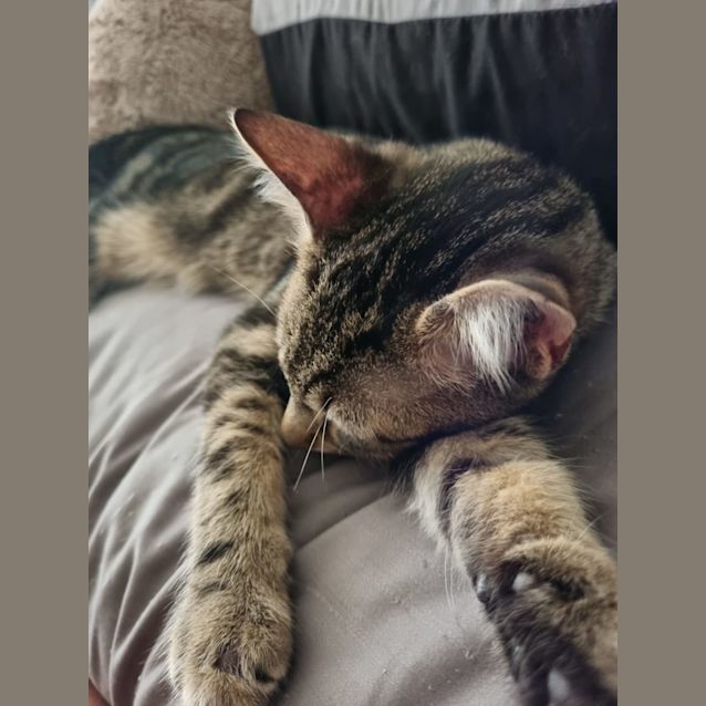 Photo of Prada