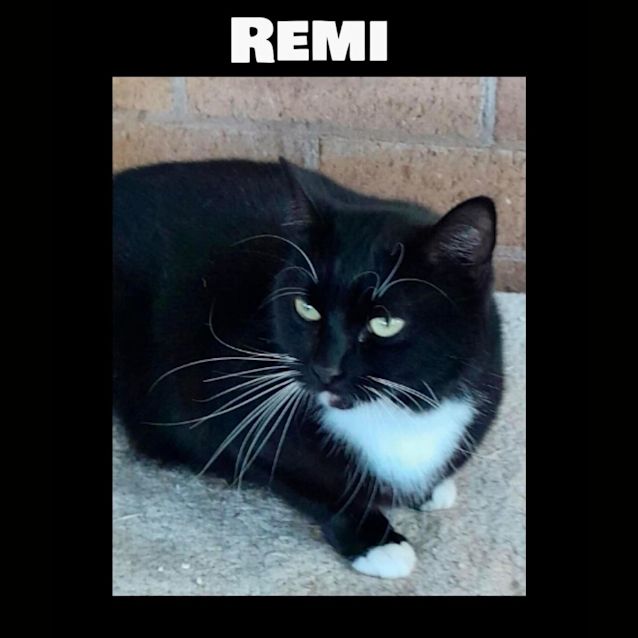 Photo of Remi