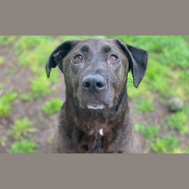 Photo of Sgt Cuddles