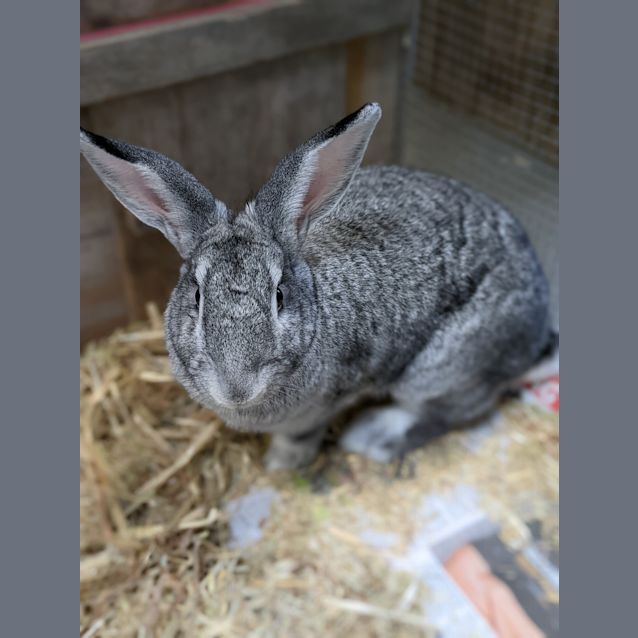 Photo of Peter