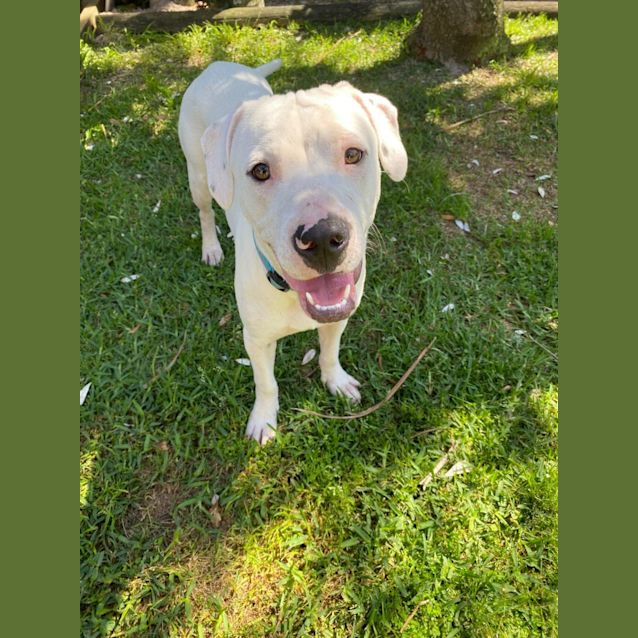 Photo of D798 Prince