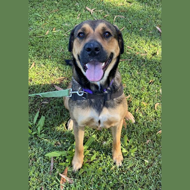 Photo of Lilly
