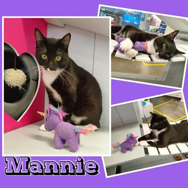 Photo of Mannie 💙💕