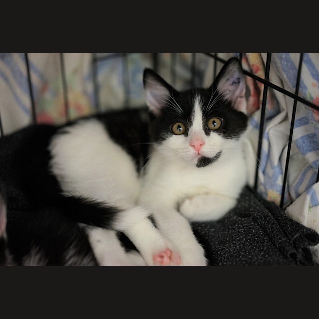 Photo of Charlie