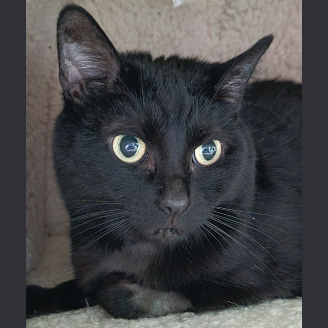 Photo of Evie