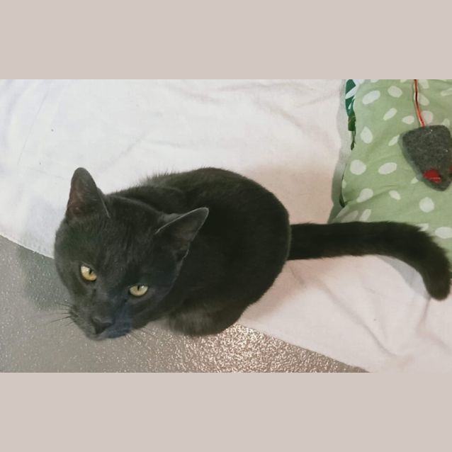 Photo of Bingo