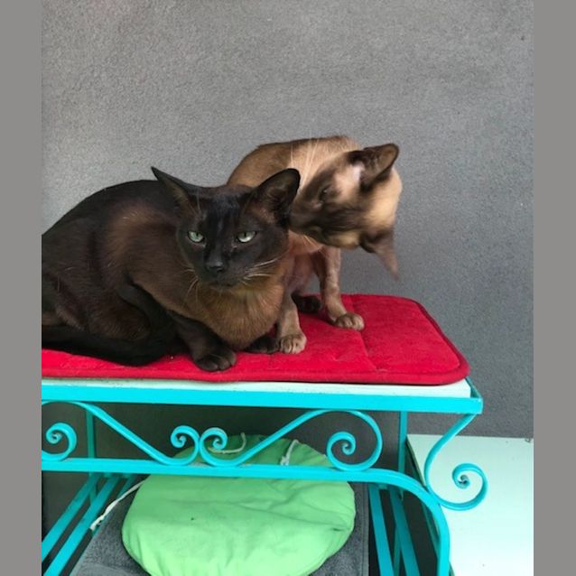 Photo of Gary Leo & Tyreal