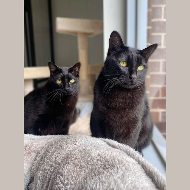 Photo of Ollie And Oscar