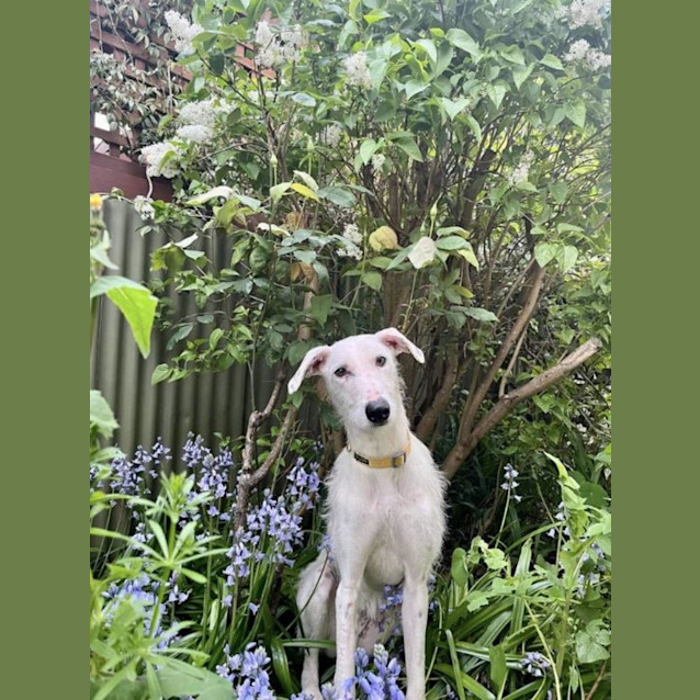 Photo of Tess Elderton