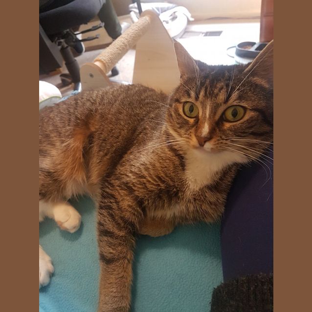 Photo of Luna