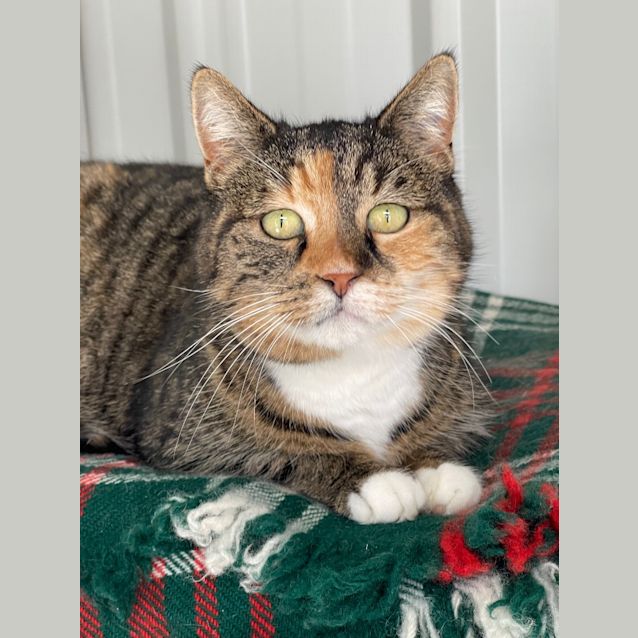 Photo of Tabitha