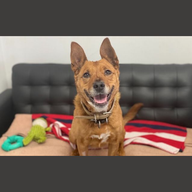 Photo of Elsie