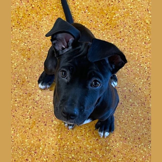 Photo of Missy