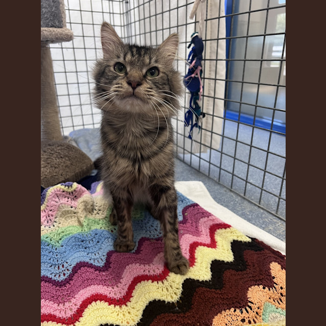 Photo of Loki