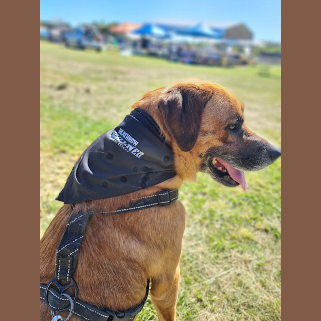Photo of Duke