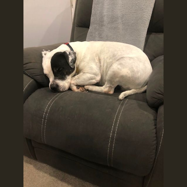 Photo of Fizz