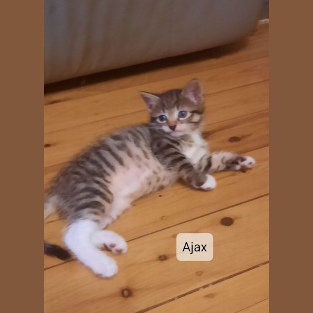 Photo of Ajax
