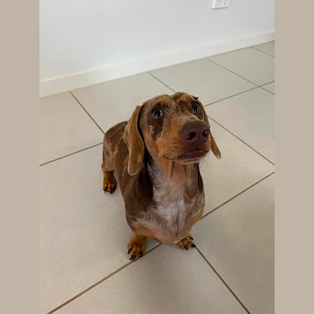 Photo of Ziggy & Little Archie