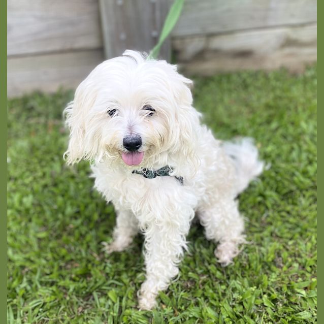 Photo of Milly