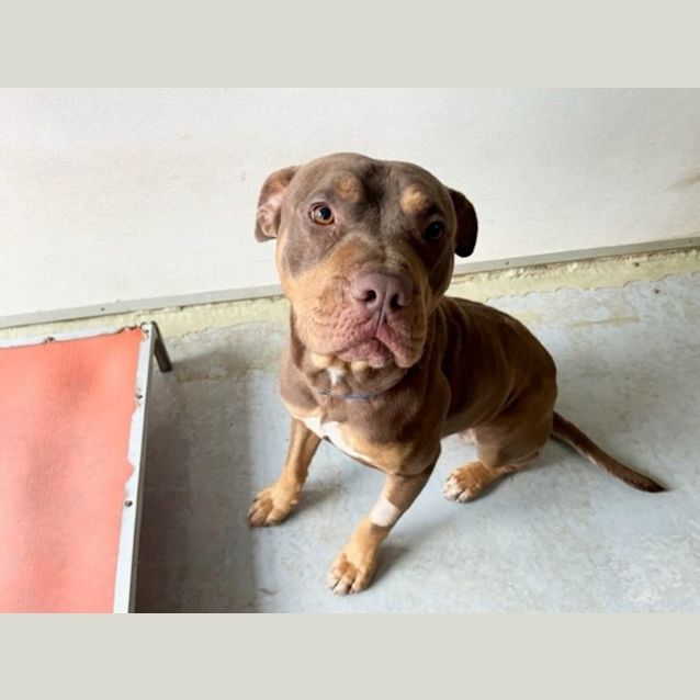 Photo of Charlie (Imp No. 1829)