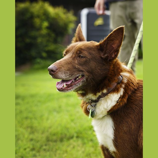 Photo of Arlo