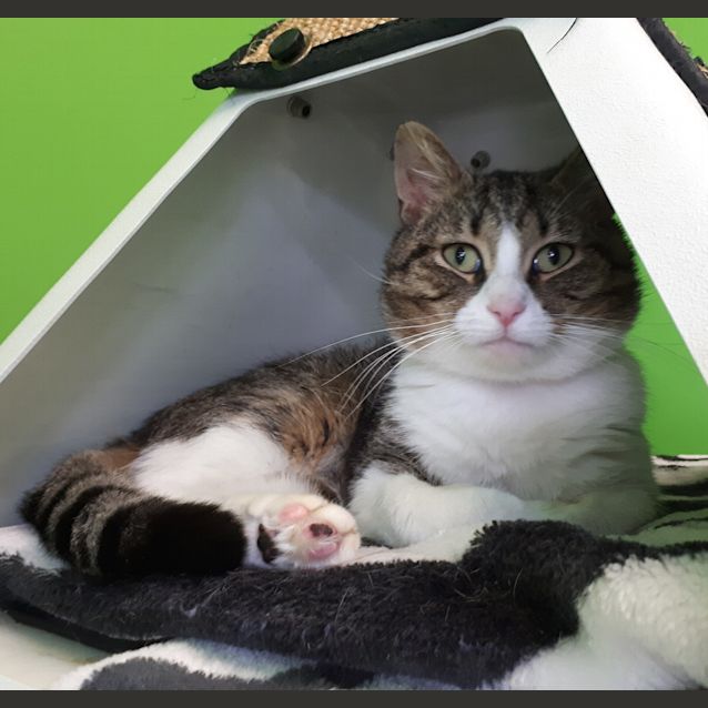 Photo of Max