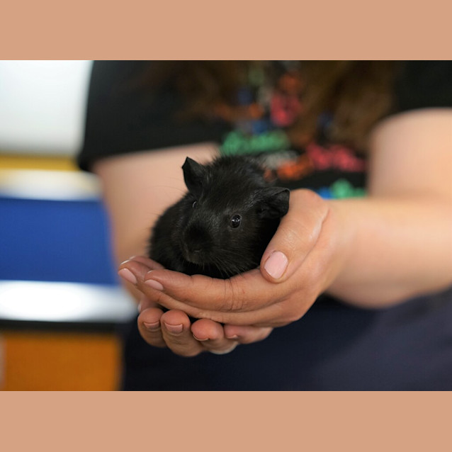 Photo of Lucky