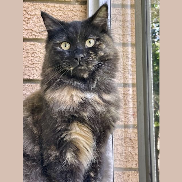 Photo of Maggie