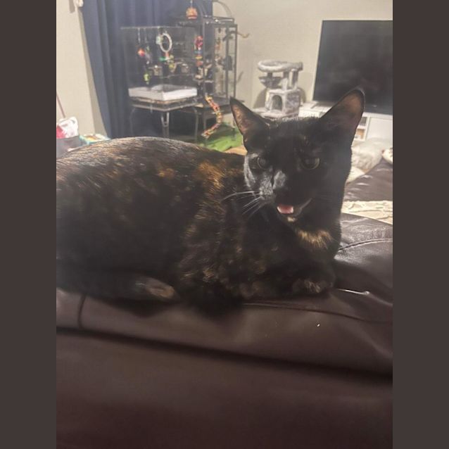 Photo of Stevie And Raisin