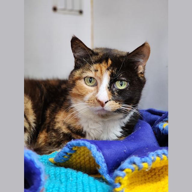 Photo of Maxine