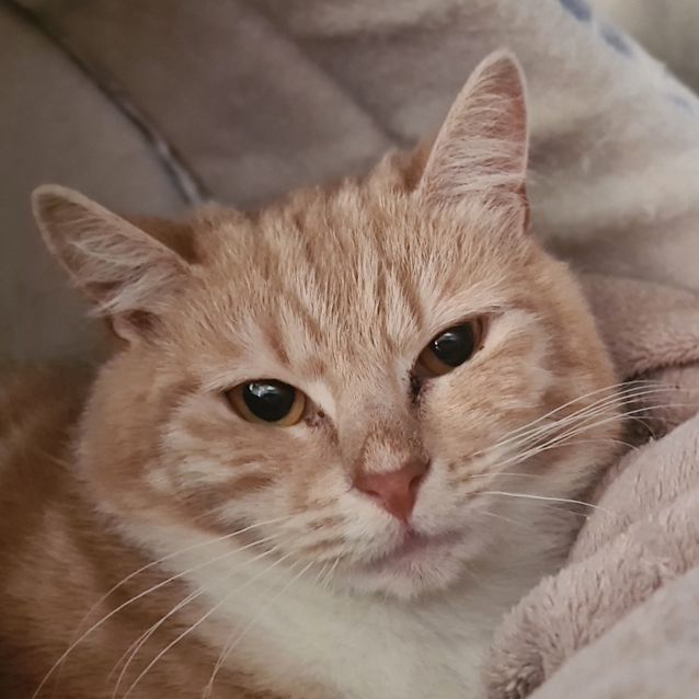 Photo of Lenny