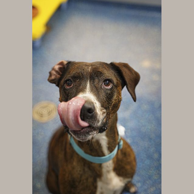 Photo of Roxy