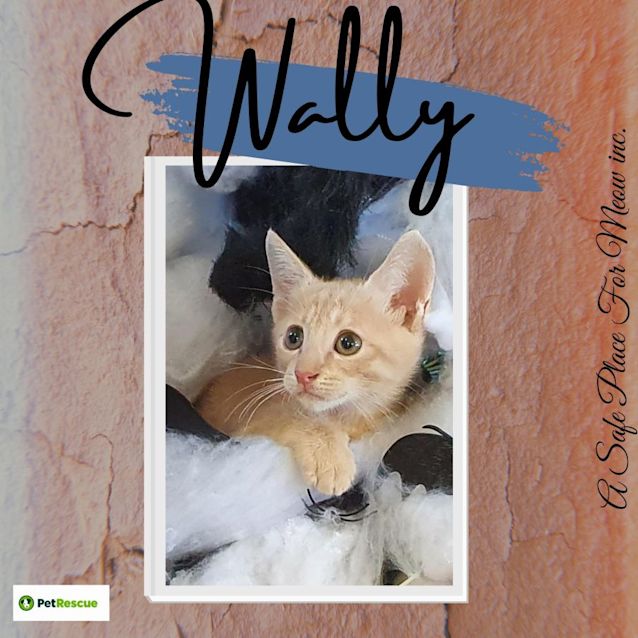 Photo of Wally
